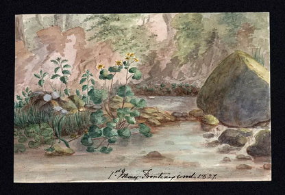 Elizabeth Campbell (1783-1861) Watercolour Painting - Frontenex Wood Geneva Switzerland 1827