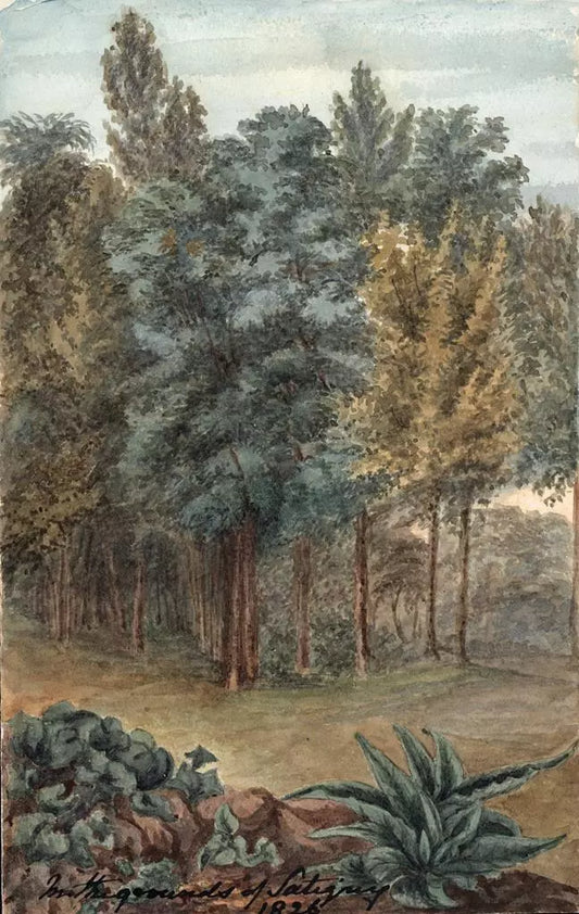 Elizabeth Campbell (1783-1861) Watercolour Painting - Satigny, Switzerland 1826