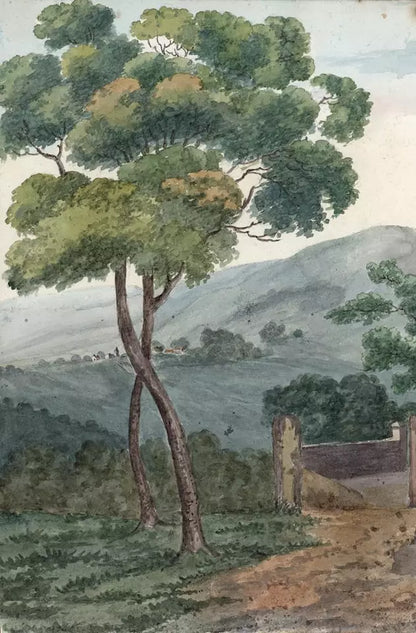 Elizabeth Campbell (1783-1861) Watercolour Painting - La Grande Mere 1822