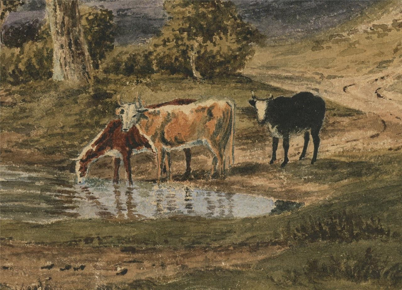 Cattle In Rural Landscape Possibly New Forest? Watercolour Painting 19th Century6