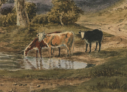 Cattle In Rural Landscape Possibly New Forest? Watercolour Painting 19th Century6