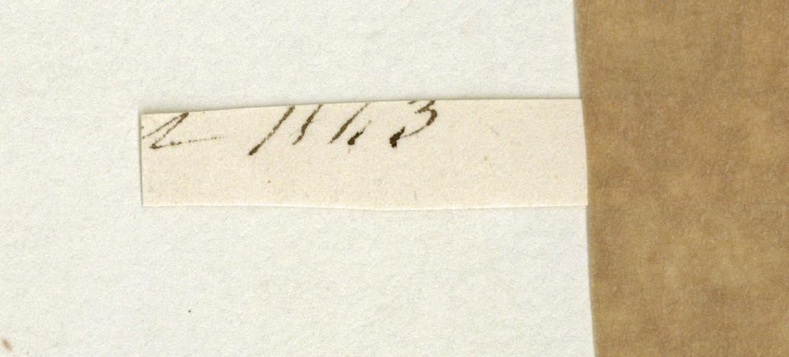 Mary Webster (1794-1883) Watercolour Painting - Broadstairs Kent 18437