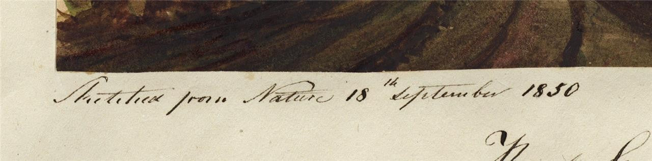 Mary Webster (1794-1883) - Watercolour Painting - Road Scene Eastbourne 18503