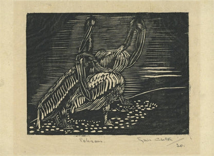 Phyllis Chilton Osborne - Pencil Signed Wood Engraving - Pelicans - 19304