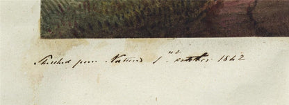 Mary Webster (1794-1883) Watercolour Painting Serpentine Kensington London 18423