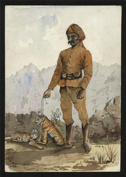 Man With Tiger Cubs India 1889 - Watercolour Painting - Arthur Herbert Hussey4