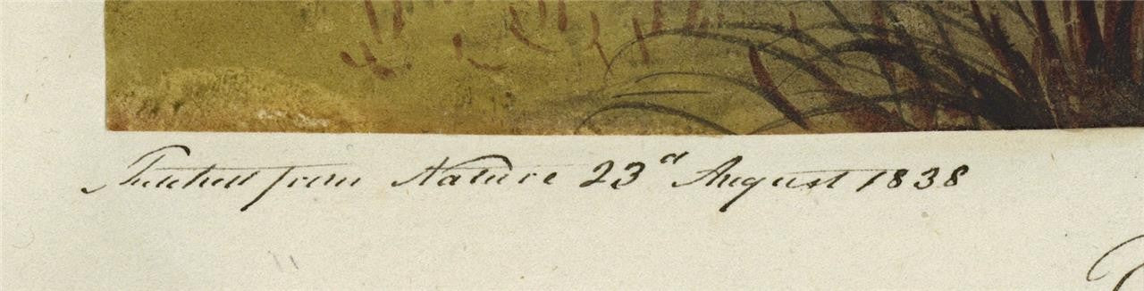 Mary Webster (1794-1883) - Watercolour Painting - Royal Pavilion Brighton 18383