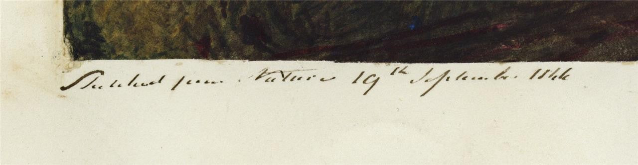 Mary Webster - Watercolour Painting - Pluscarden Abbey Near Elgin Scotland 18443