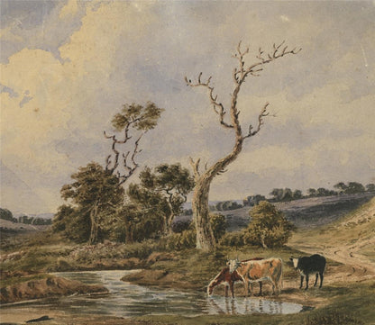 Cattle In Rural Landscape Possibly New Forest? Watercolour Painting 19th Century7