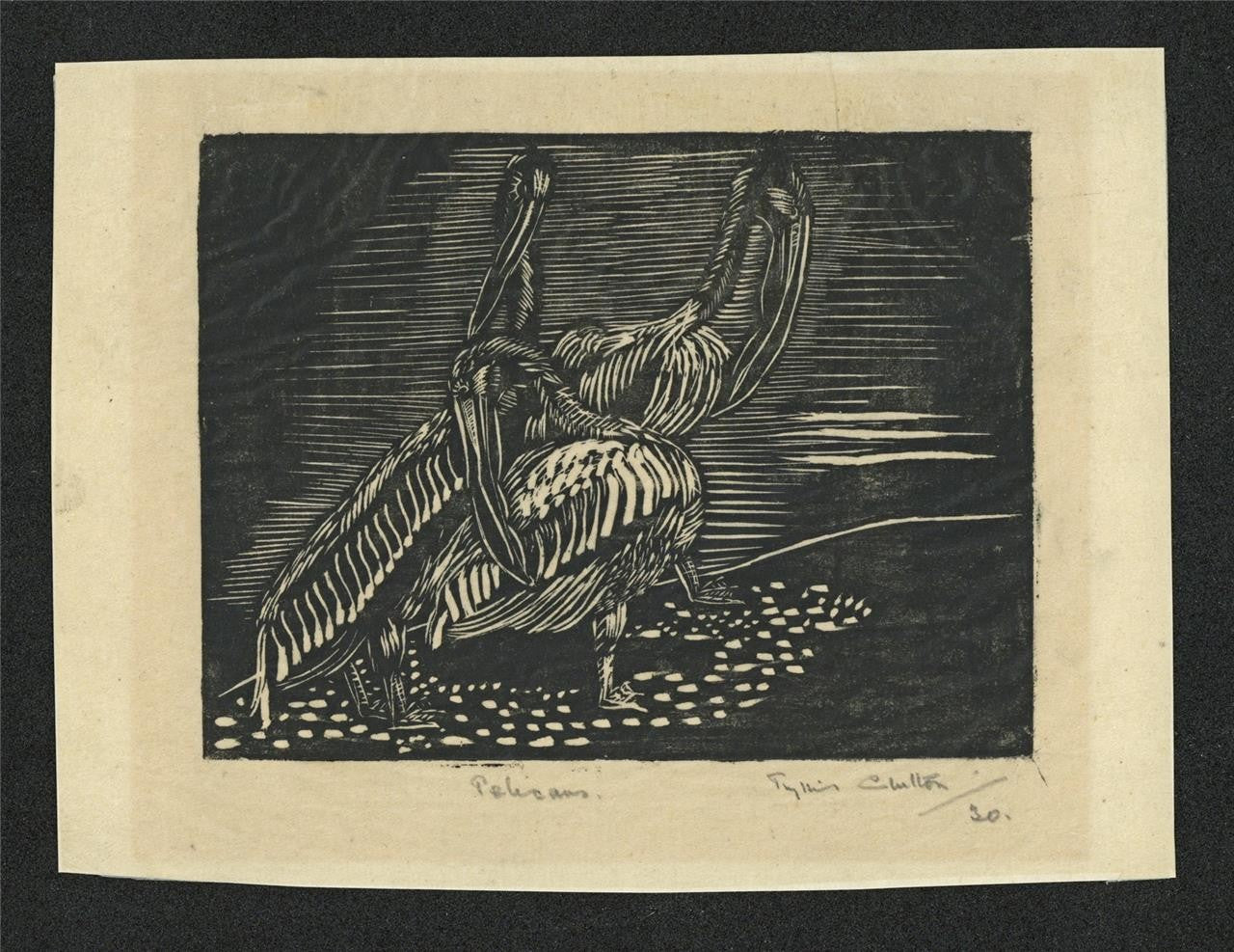 Phyllis Chilton Osborne - Pencil Signed Wood Engraving - Pelicans - 19301