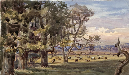 TREES IN LANDSCAPE HAM SURREY Victorian Watercolour Painting 18764