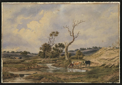 Cattle In Rural Landscape Possibly New Forest? Watercolour Painting 19th Century1