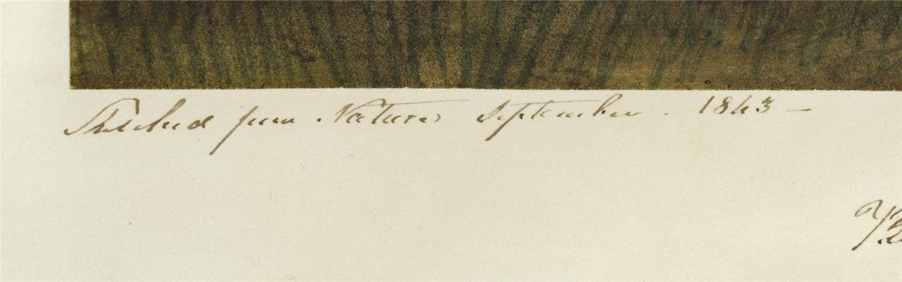 Mary Webster Watercolour Painting Richborough Castle Near Sandwich Kent 18433