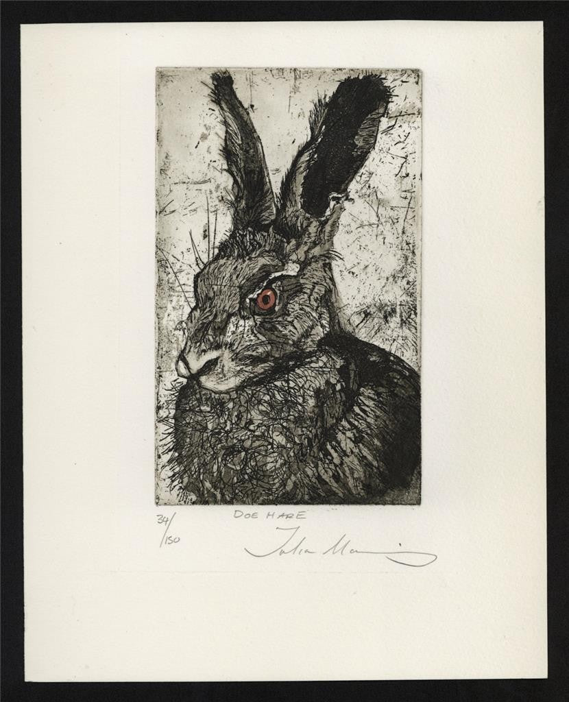 Julia Manning RE - Pencil Signed Etching - Doe Hare1