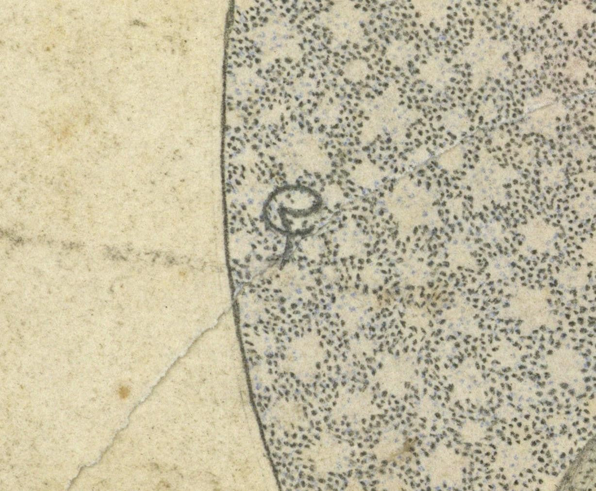 Cecil French (18791953) Pencil Drawing  The Flowering Of The Ages2