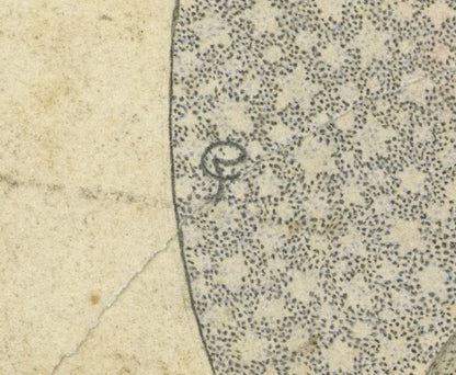 Cecil French (18791953) Pencil Drawing  The Flowering Of The Ages2