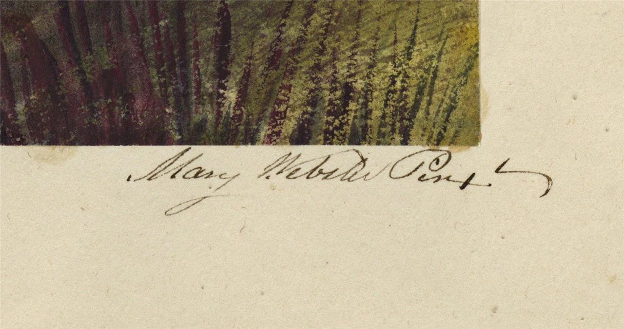 Mary Webster (1794-1883) - Watercolour Painting - Compton Place Eastbourne 18502