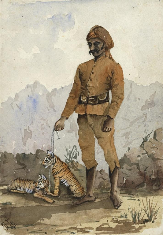 Man With Tiger Cubs India 1889 - Watercolour Painting - Arthur Herbert Hussey0