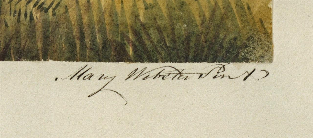 Mary Webster (1794-1883) Watercolour Painting Gloucester Cathedral 18402