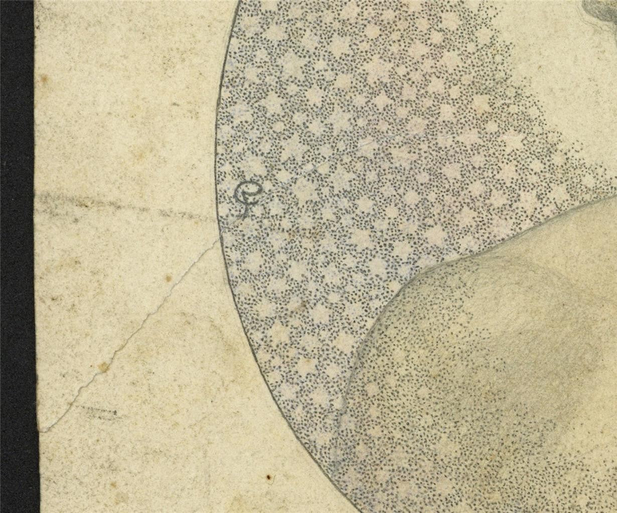 Cecil French (18791953) Pencil Drawing  The Flowering Of The Ages3