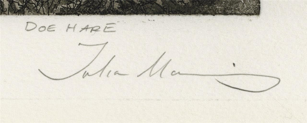 Julia Manning RE - Pencil Signed Etching - Doe Hare2