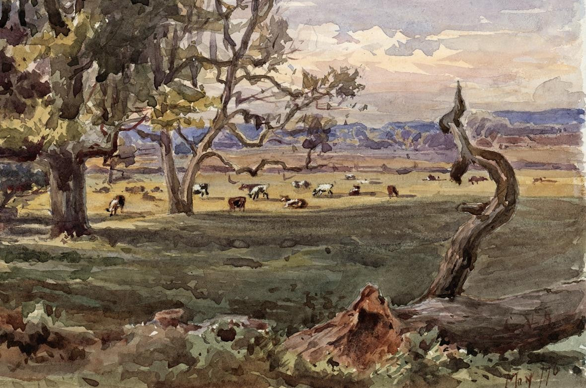 TREES IN LANDSCAPE HAM SURREY Victorian Watercolour Painting 18766