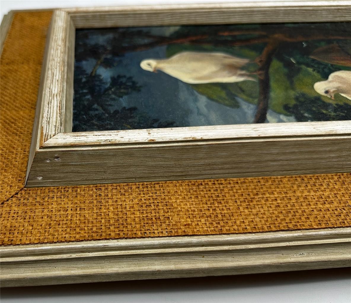 Kenneth Graham F.R.S.A Oil Painting - Doves At Holly Bush - Datchworth9
