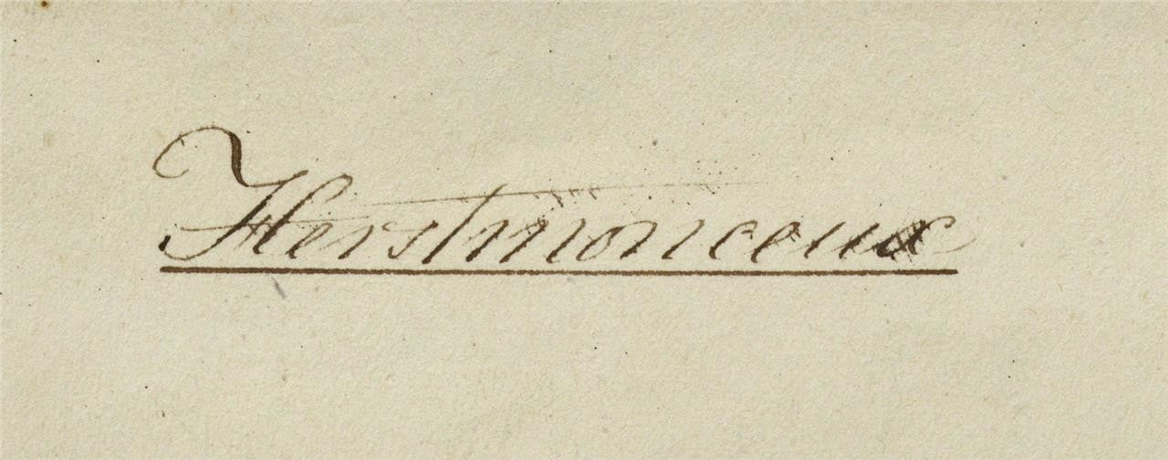 Mary Webster (1794-1883) Watercolour Painting - Herstmonceux Castle 18424