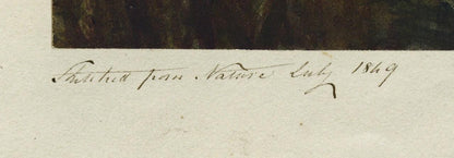 Mary Webster (1794-1883) Watercolour Painting Perrymount Sydenham London 18493