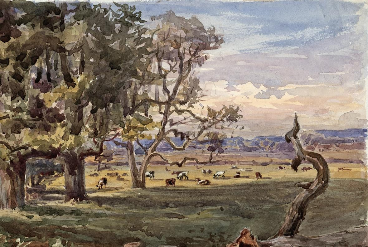 TREES IN LANDSCAPE HAM SURREY Victorian Watercolour Painting 18765