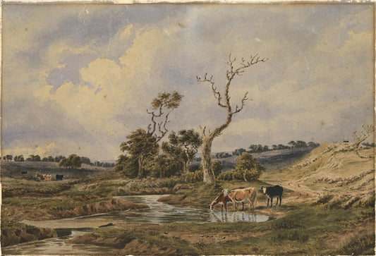 Cattle In Rural Landscape Possibly New Forest? Watercolour Painting 19th Century0