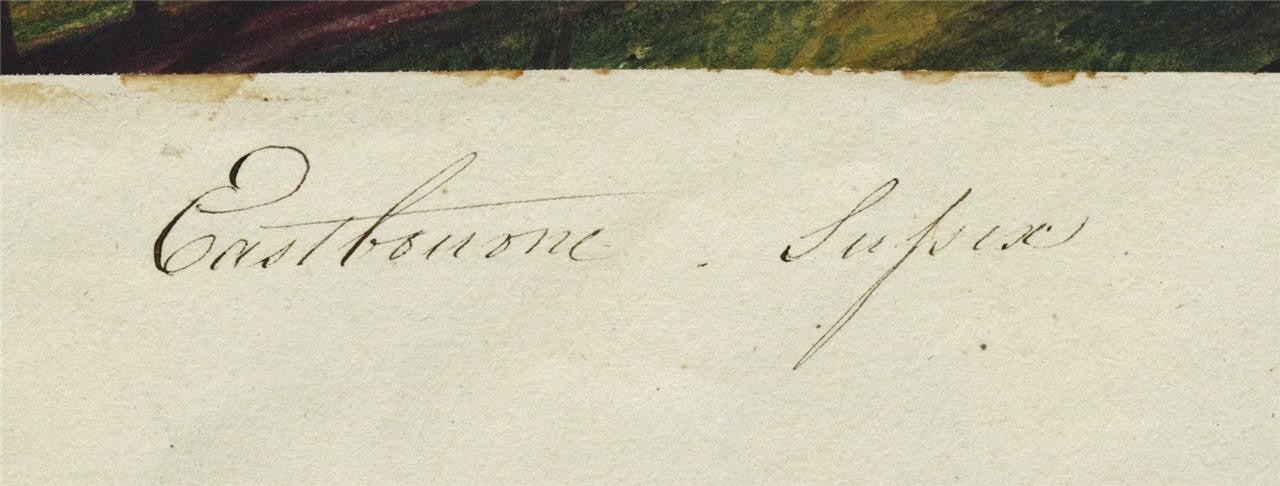 Mary Webster (1794-1883) Watercolour Painting Coastline Eastbourne Sussex 18484