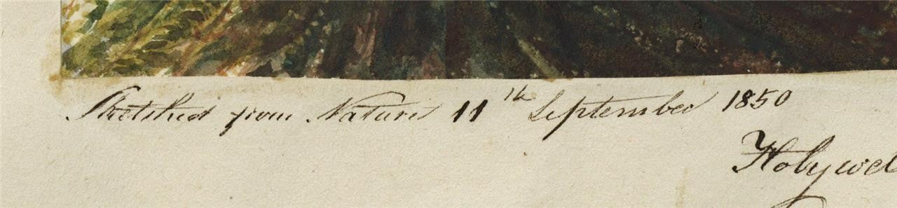 Mary Webster (1794-1883) Watercolour Painting Holywell Eastbourne 18503