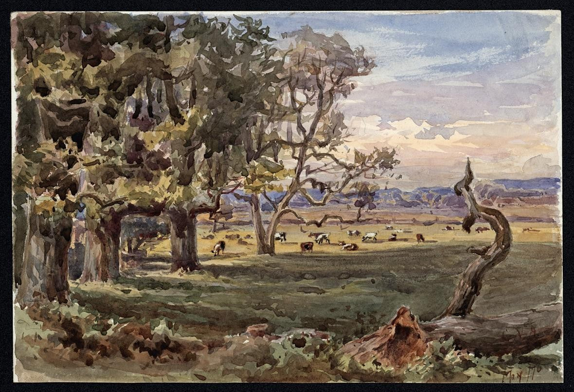 TREES IN LANDSCAPE HAM SURREY Victorian Watercolour Painting 18762