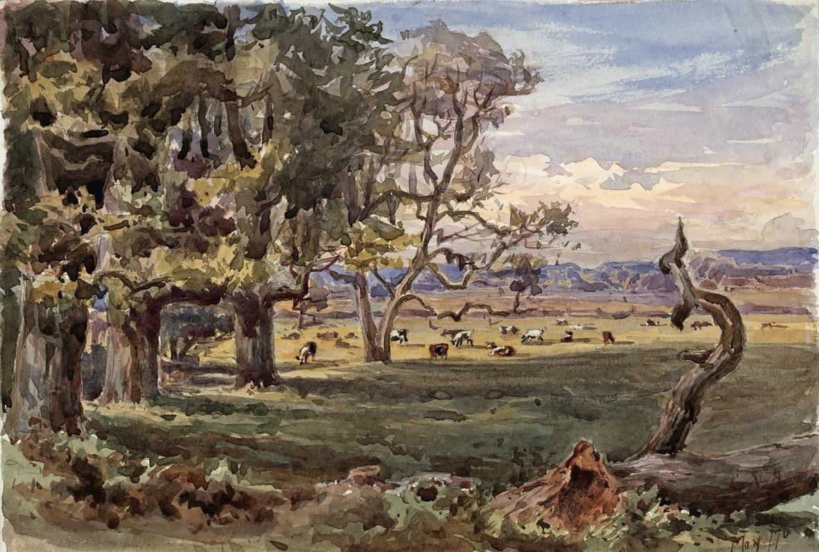 TREES IN LANDSCAPE HAM SURREY Victorian Watercolour Painting 18760