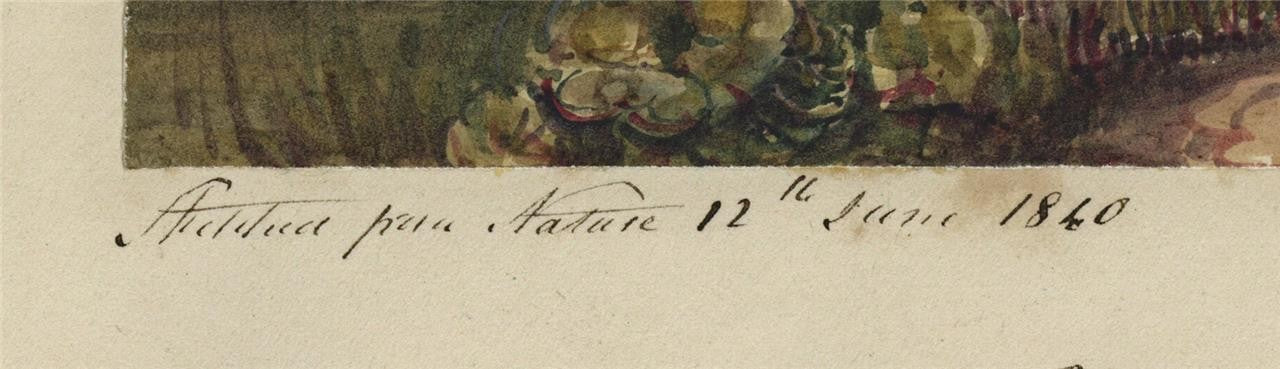 Mary Webster (1794-1883) Watercolour Painting - Merton College Oxford 18403