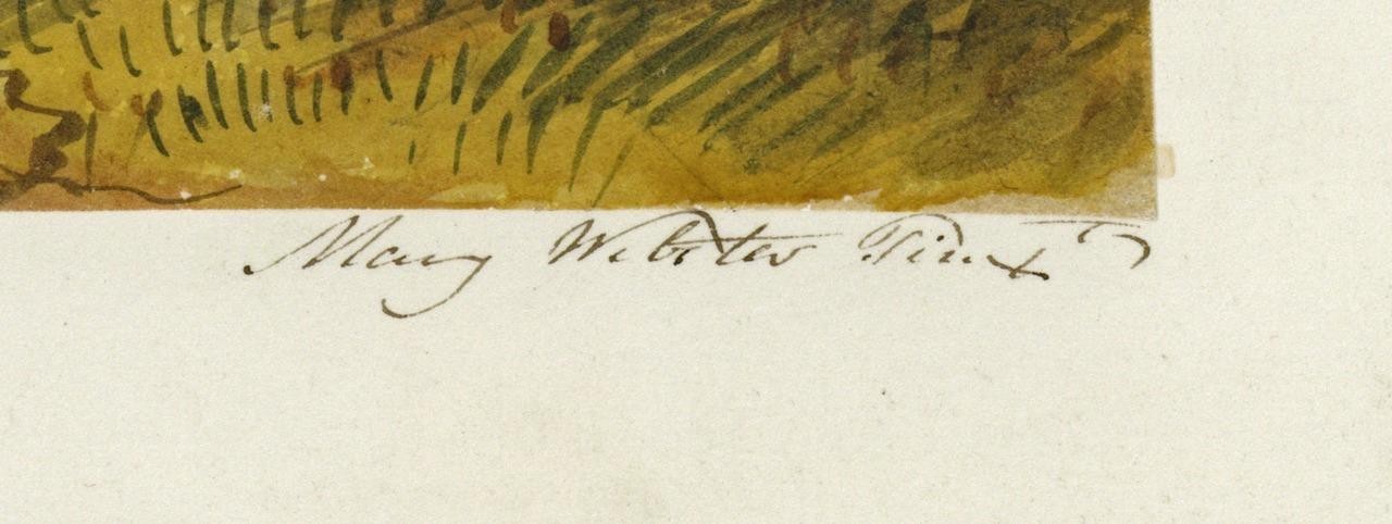 Mary Webster (1794-1883) Watercolour Painting Spynie Castle Moray Scotland 18442