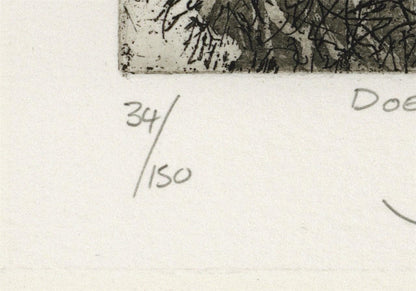 Julia Manning RE - Pencil Signed Etching - Doe Hare3