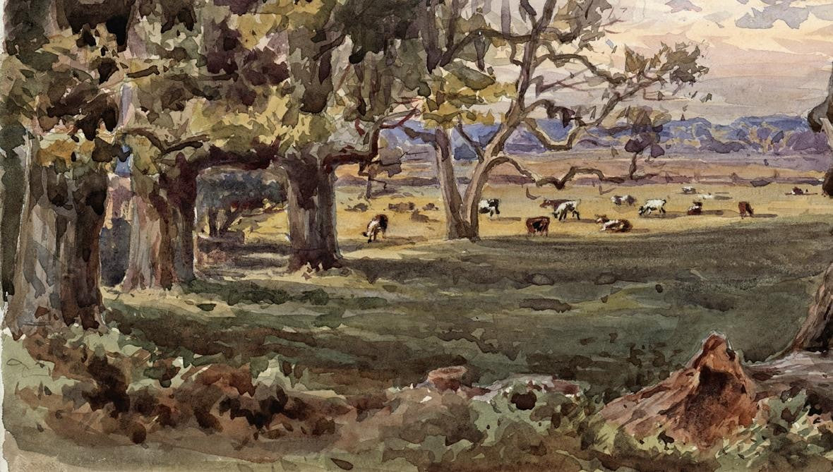 TREES IN LANDSCAPE HAM SURREY Victorian Watercolour Painting 18763