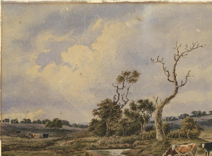 Cattle In Rural Landscape Possibly New Forest? Watercolour Painting 19th Century4