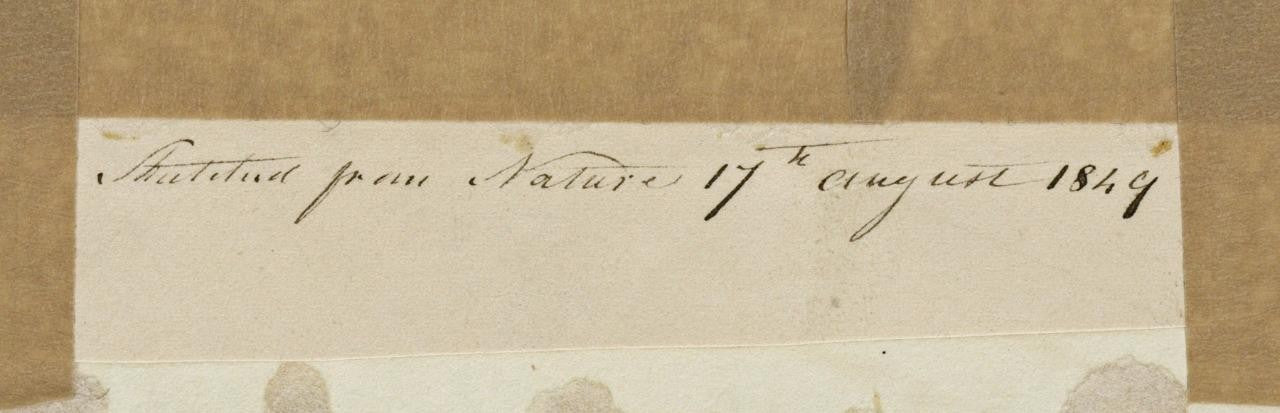 Mary Webster (1794-1883) Watercolour Painting - Abbey Gateway, Reading 18499