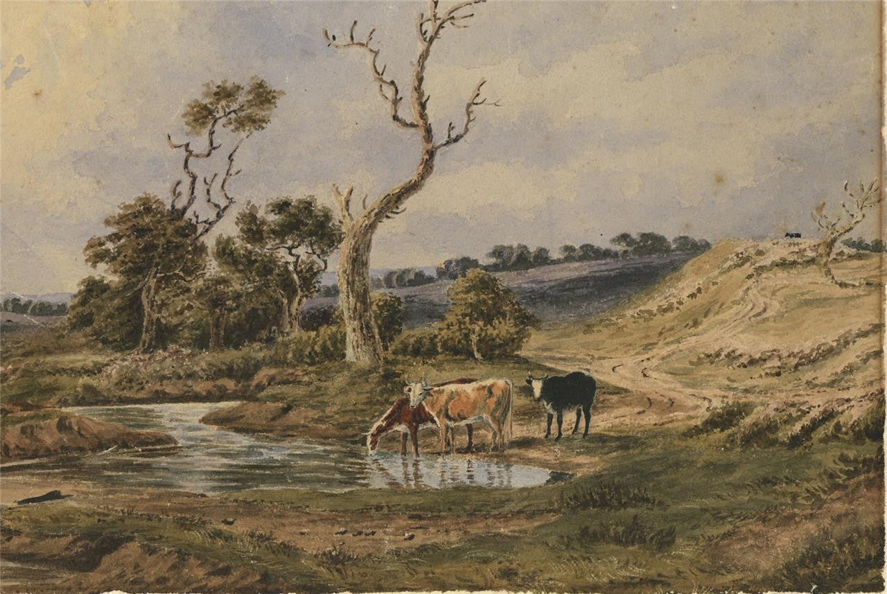 Cattle In Rural Landscape Possibly New Forest? Watercolour Painting 19th Century2