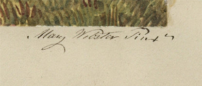 Mary Webster (1794-1883) Watercolour Painting - Merton College Oxford 18402