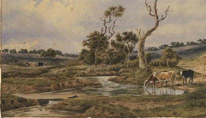 Cattle In Rural Landscape Possibly New Forest? Watercolour Painting 19th Century3